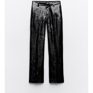 Zara Velvet sparkle pants